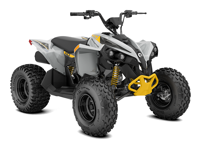 CAN AM Renegade 110 EFI