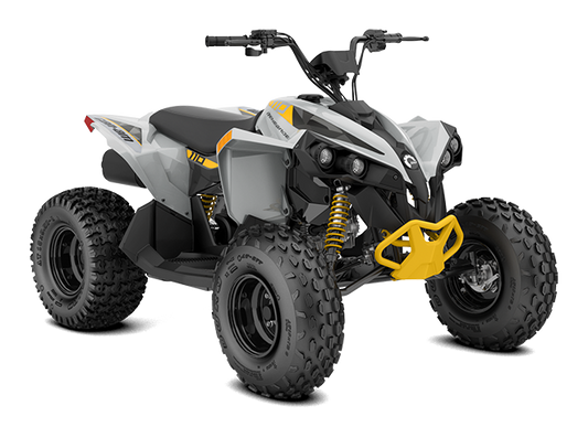 CAN AM Renegade 110 EFI